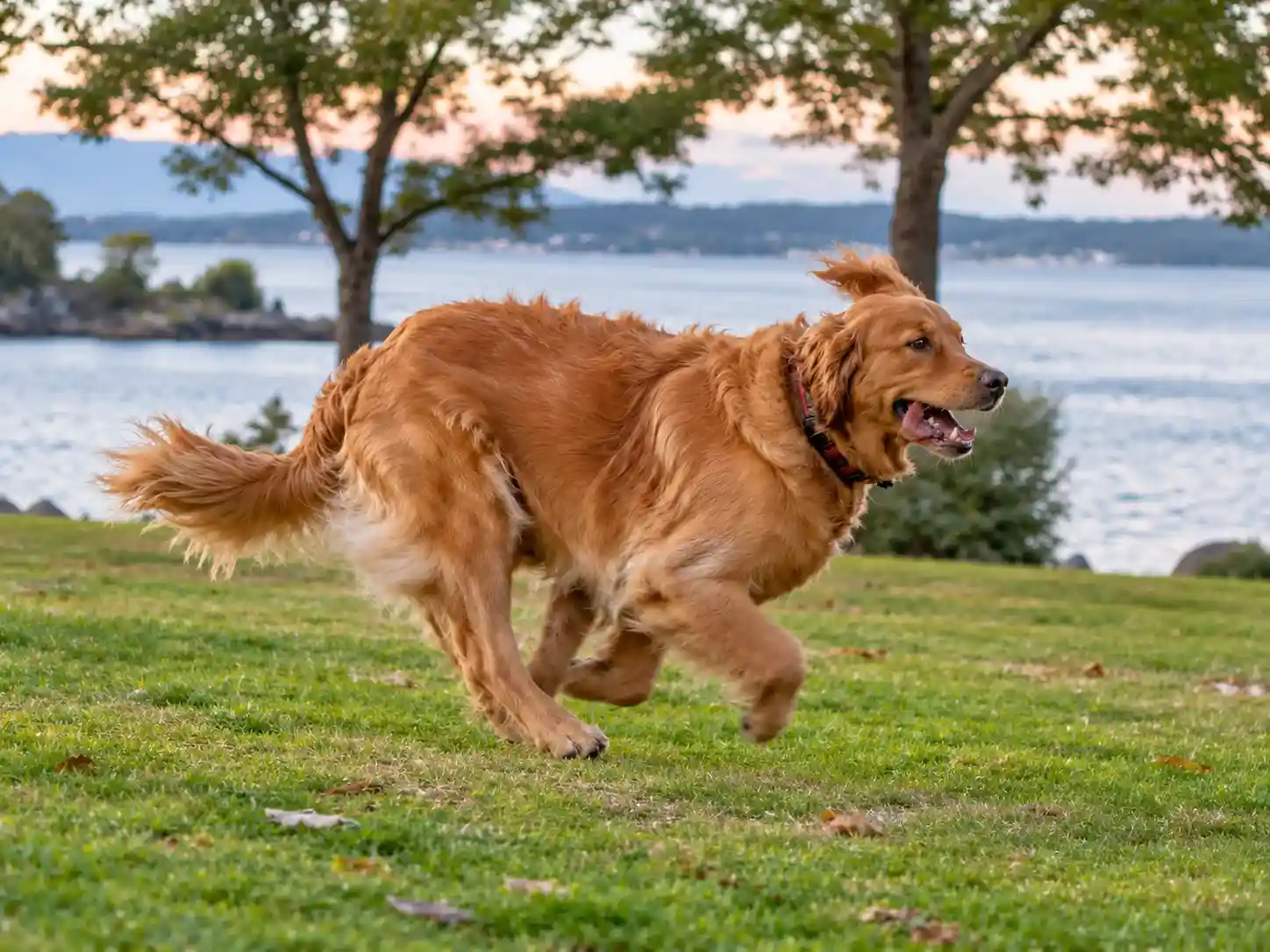 Remove Motion Blur