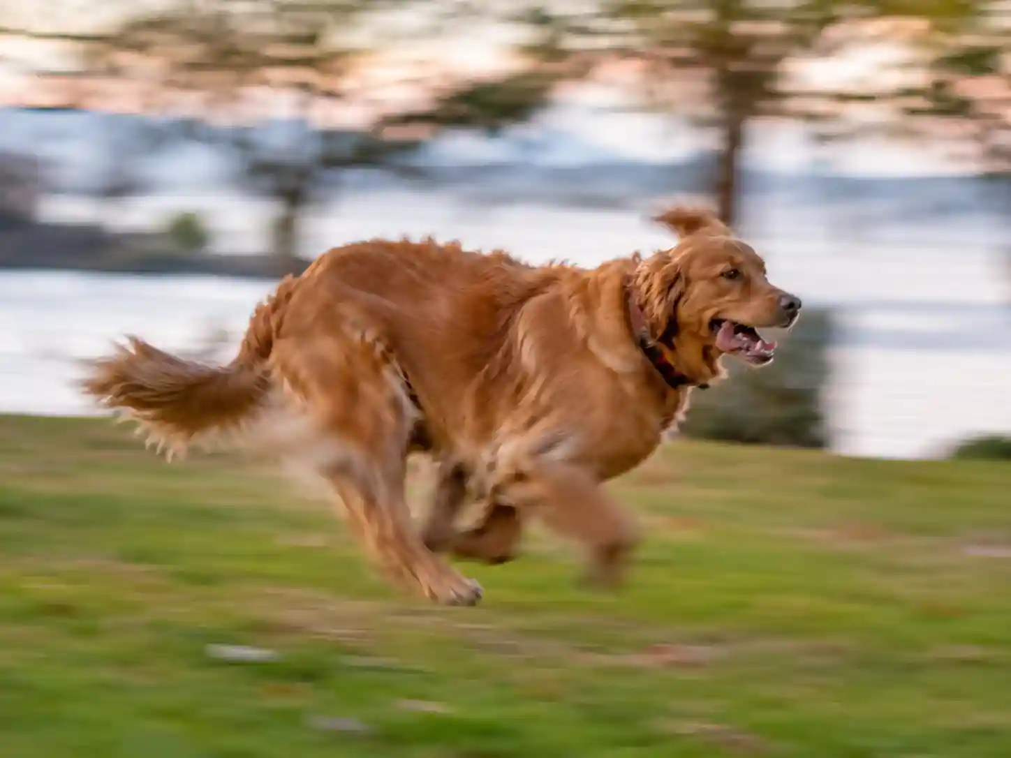 motion blur
